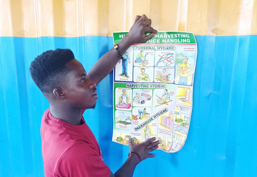 On-farm hygiene and produce-handling training